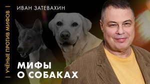 Затевахин о собаках-убийцах. Ученые против мифов: классика [7-5, 2018]