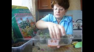 2121 . ВПЛ. Земляника от посева до пересадки на ПМЖ.