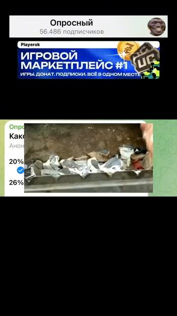 #Какой #самый вкусный шашлык?