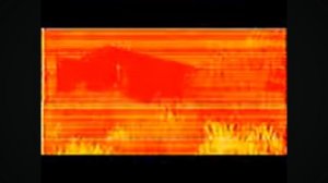 (права не мои)RAH:fazenda_20111120_112625