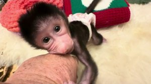 Малышка Николь когда просыпается то всегда страшно голодная