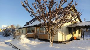 Просто день из жизни в посёлке 🏡. Хозяйство🐈⬛🐓🦆🪿, домашние дела, вкусный ужин☕🥧.