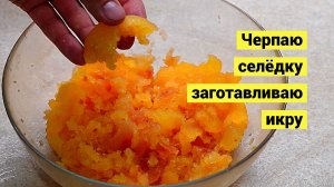 Полчища селёдки подошли к берегу! Бери руками!