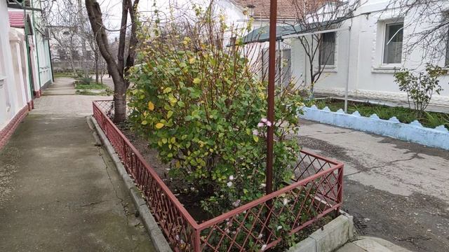 Один из дней города Евпатории | 11 января 2021 г | Крым | ХАН БАТОН XAH 6ATOH / VID_20210111_141006