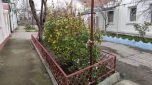 Один из дней города Евпатории | 11 января 2021 г | Крым | ХАН БАТОН XAH 6ATOH / VID_20210111_141006