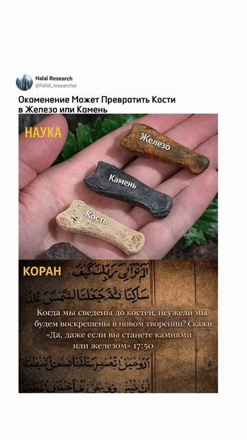 . смотреть онлайн