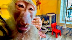 Манечка самая лучшая девочка, спокойно, без истерик едет к Степе и Люсе❤️