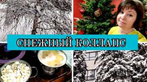 09.01.2026 Снег кружится, летает, летает❄️С утра на танцы💃Два супа🍲Снова квиллинг❤️