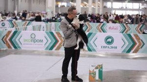 Евразия 2025. ДЕНЬ 1