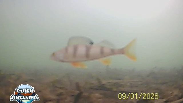 09-01-2026 рыбалка в Уфе. ОЗ Долгое  Чесноковский