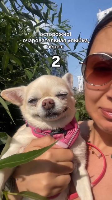 Предупреждали же.. ☺))