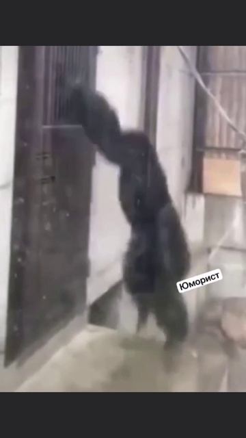 Туалет занят