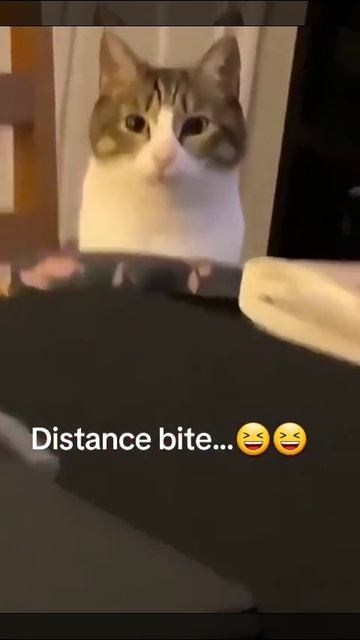 Удалённый кусь