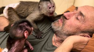 Так мило Финик ревнует Николь,ревнует, но малышку не обижает❤️