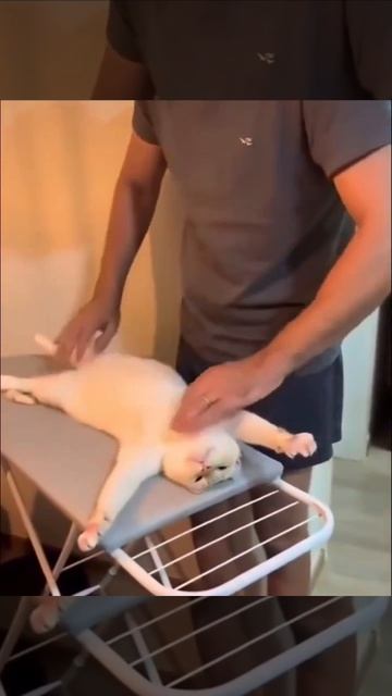 кто такой Гарданкер ищем видео на момент канале и узнаëм