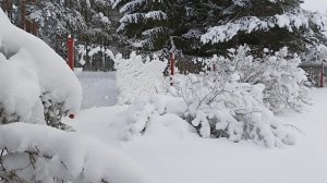 Морозный зимний день . Музыка релакс . Фоновая музыка . Музыка для сна и отдыха .