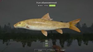 РР4 Ловля усача