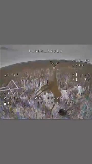 Нападение на низколетящий дрон 👻 смотреть онлайн