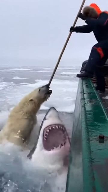 #shorts океан смотреть онлайн