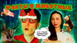 КОТ УЧЁНЫЙ | ФАКТЫ О ЖИВОТНЫХ