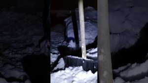 погода и авто прямая трансляция