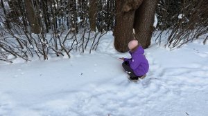 Парк Пушкин