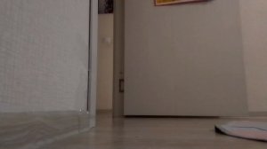 БлогКота (2)