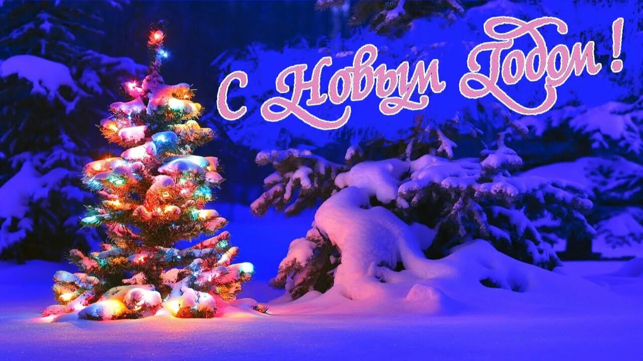 Ты С Мороза Вошла - Алексей Крупнов. Пусть Новый год подарит много радостных моментов! смотреть онлайн