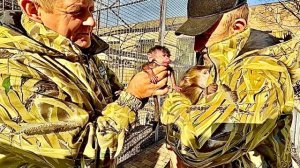 Никогда не было и ВОТ ОПЯТЬ! Мать наотрез отказывается кормить маленькую Николь!!!