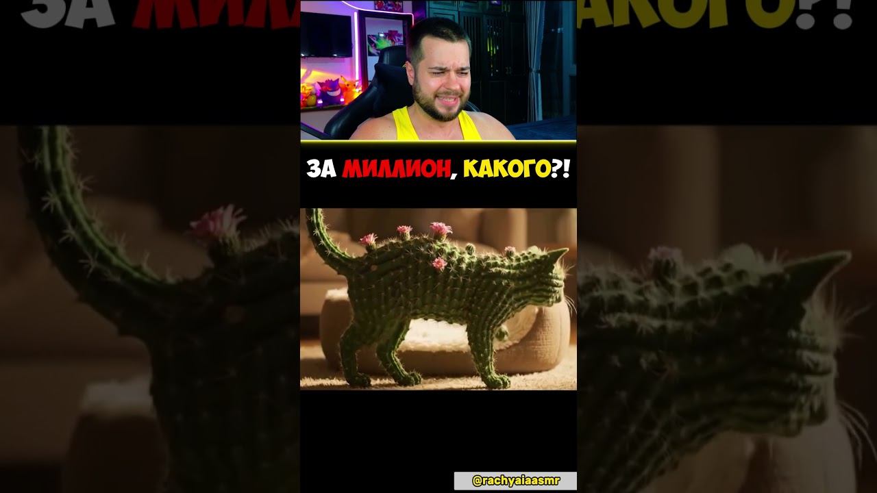 За МИЛЛИОН Долларов… Какого КОТА Ты ОБНИМЕШЬ? #shorts #шортс смотреть онлайн