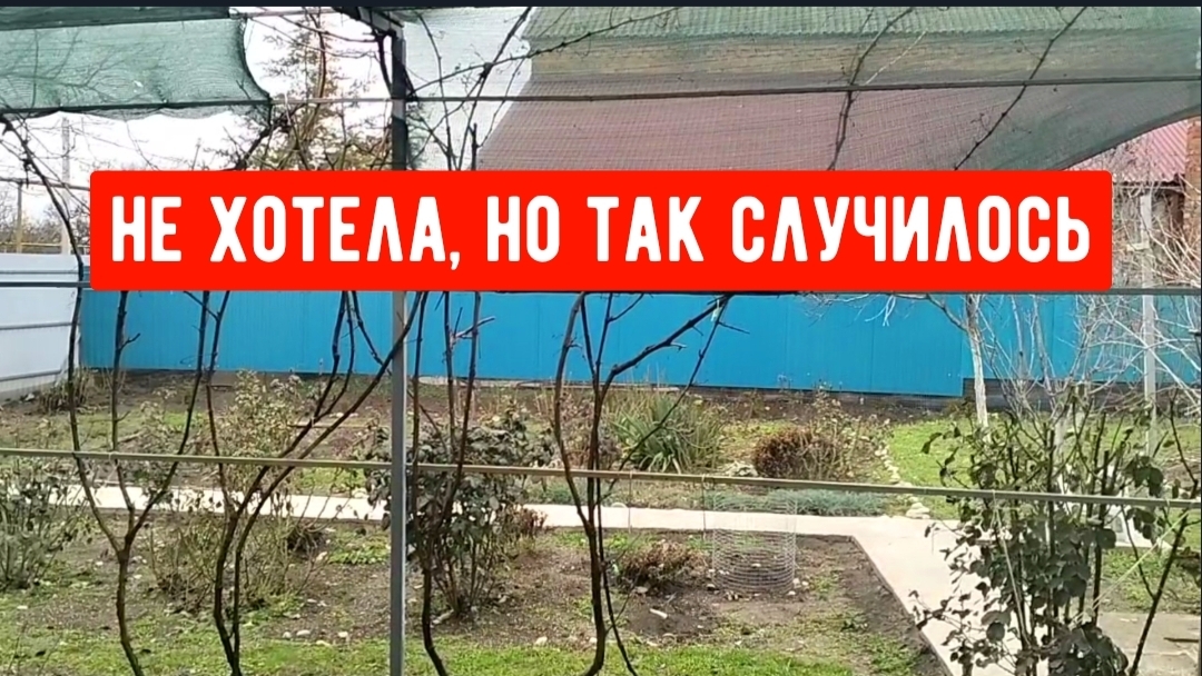 #161🏡Не хотела/но так случилось/Ещё болею/Первые посевы/Проращиваю перцы/Убрала ёлку смотреть онлайн