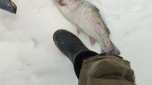 Хорошая котлетина