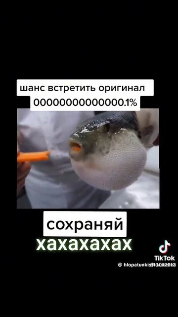 🐠🐋🐟Рыба Фугу