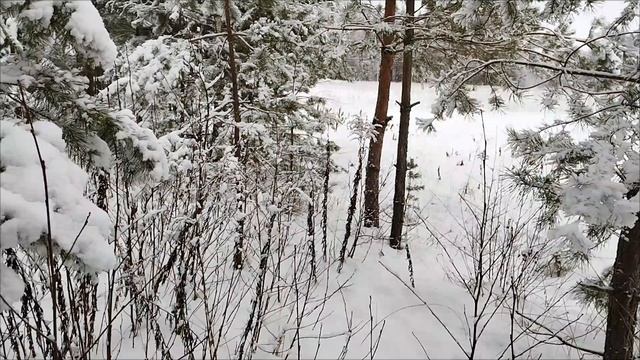 Зимняя Волшебная Сказка