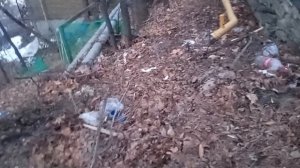 Кисловодский бардак! Вечная мусорная свалка в курортной зоне! Мэрия не видит! Позор! 8.01.2026 г.