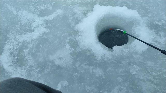 Рыбалка — прогулка, Водохранилище. Январский дождь. мкр.Шилово, Воронеж 08.01.2026 год.