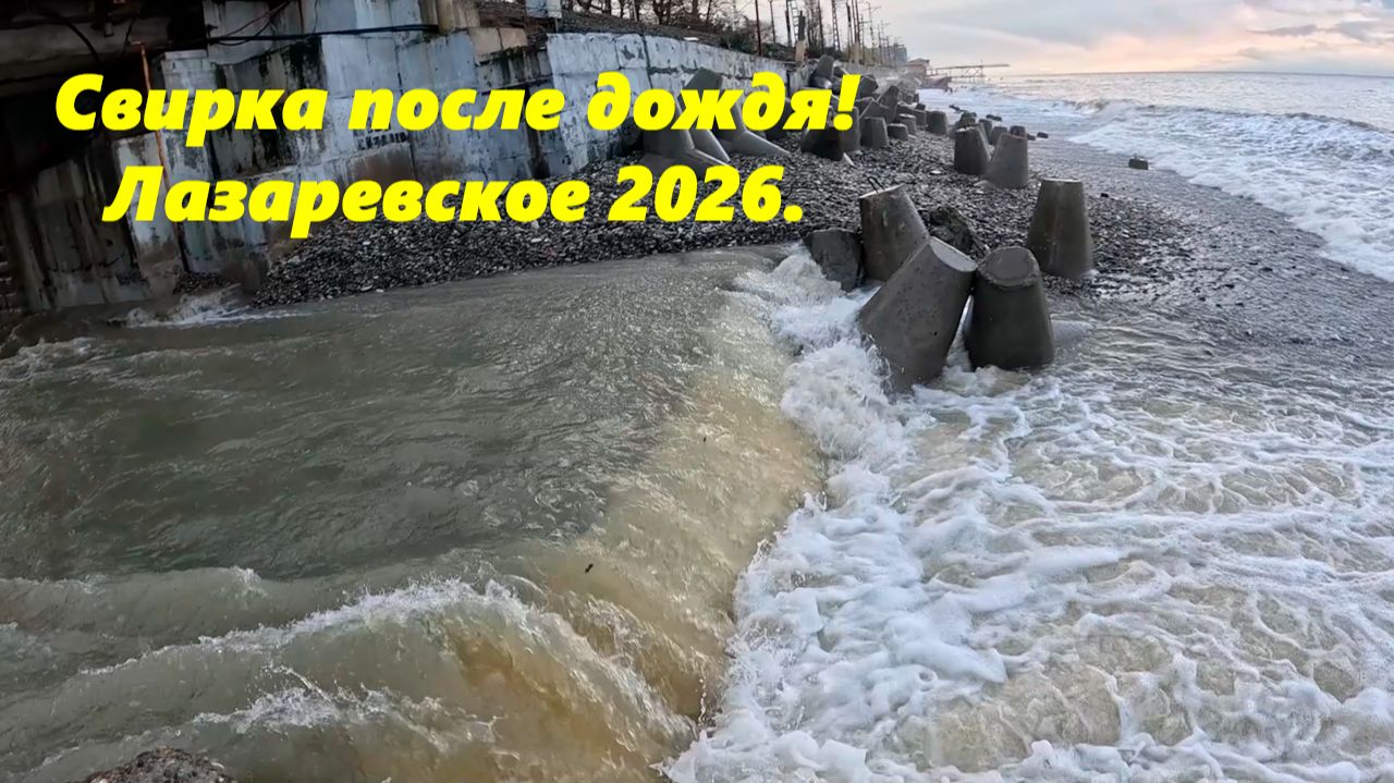 Свирка после дождя! Лазаревское 2026. смотреть онлайн