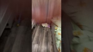 вечерний влог с реборном Амелия??🍧🍨🍩