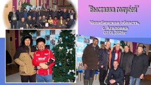 Выставка голубей// с.Агаповка 05.01.2026// автор Андрей Латмарин