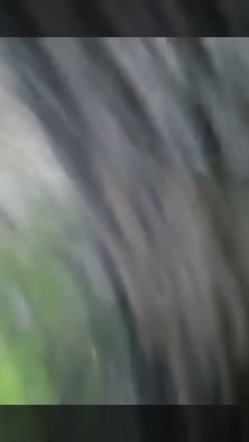 #Живая_планета #Архив  Russian edition смотреть онлайн