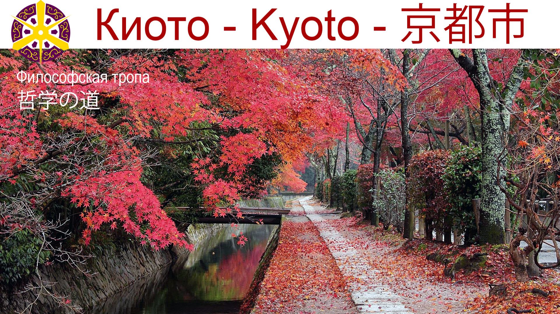 Философская тропа Киото смотреть онлайн