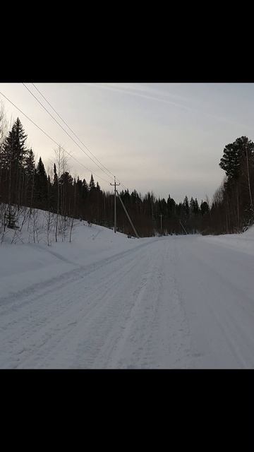 «Белая борьба»