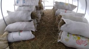 09-01-2026 На улице мороз, а делать надо 🤷.