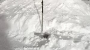 Снежная буря обрушилась на Москву и Московскую область.