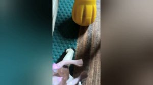 фигурки лошадей шляйх сериал: дух победы 1 серия