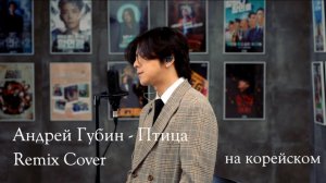 Андрей Губин – Птица (корейский кавер · балладный ремикс)