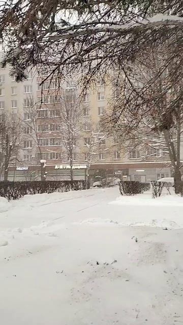 Снегопад в Москве 
снегопад погода москва