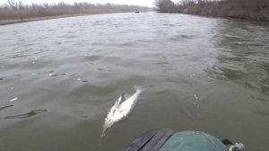 РЫБАЛКА В АСТРАХАНИ |2026| ЛОВЛЯ СУДАКА