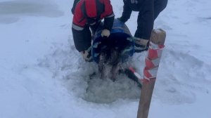 copy_9933F467-6C2C-46A0-96F8-06ADF68E3563