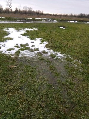 и дождь и в снег, гулять